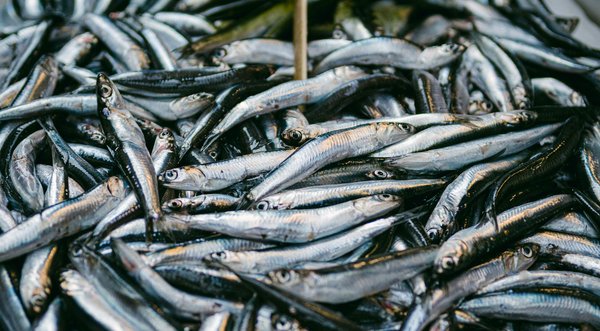 La rééducation de l'orthophoniste en cas de trouble du langage chez l'adulte