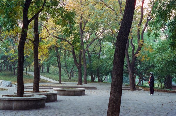 Introduction à la thérapie génique: comprendre les bases