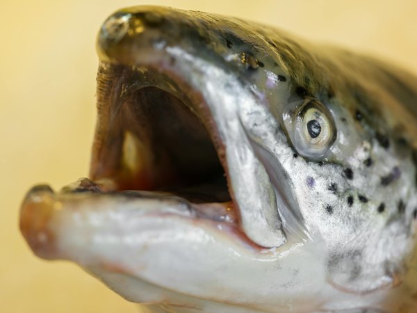 Sécheresse intime : solutions naturelles et apaisantes à découvrir