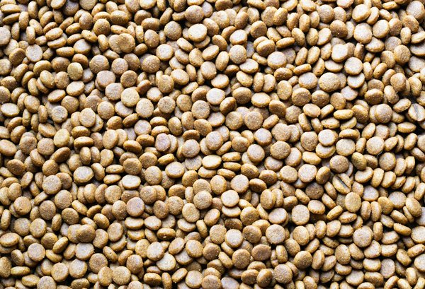 Portraits de famille uniques à bordeaux : le guide du photographe